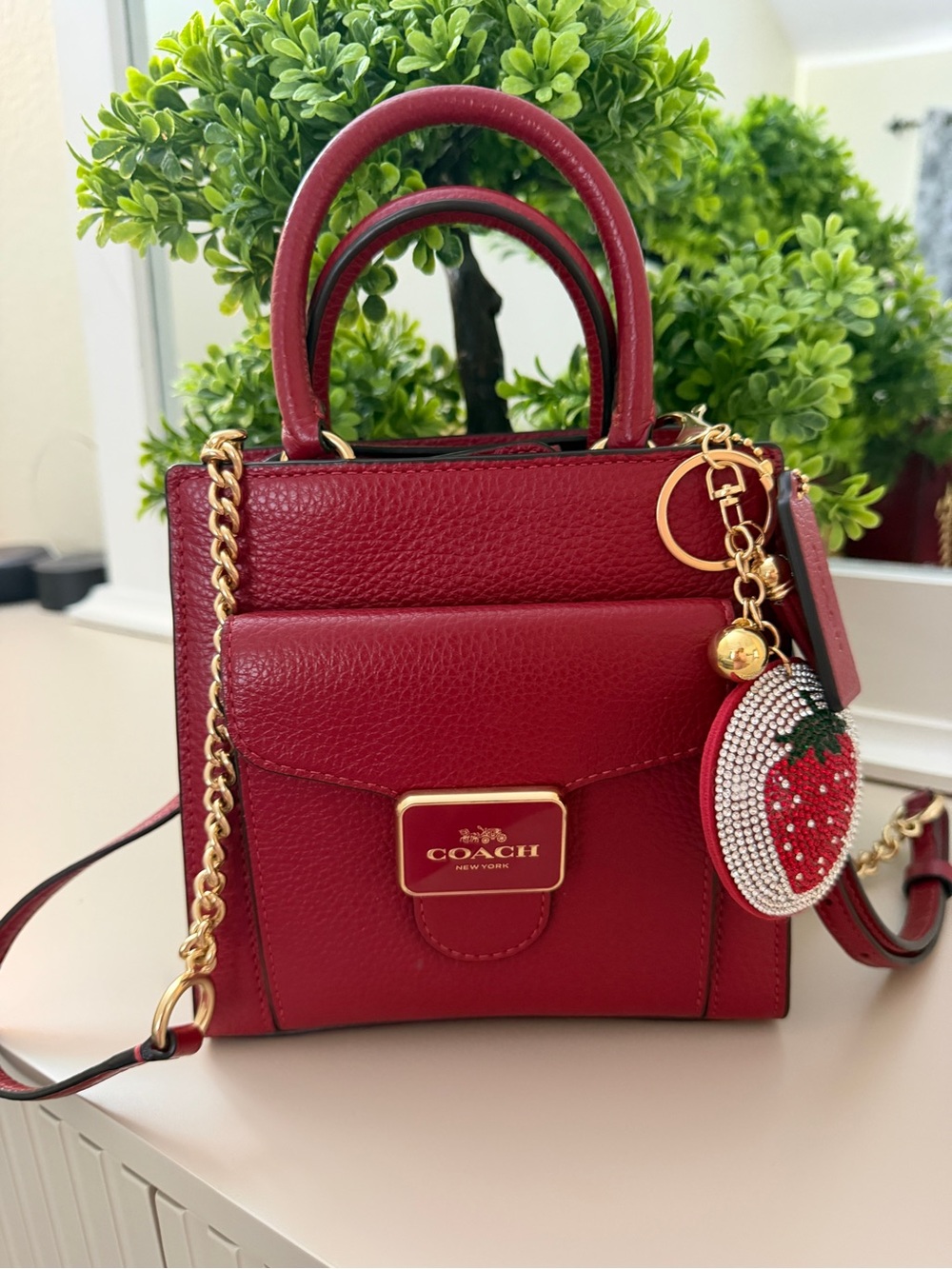 Coach Red Pebble Leather Mini Satchel with Gold Hardware